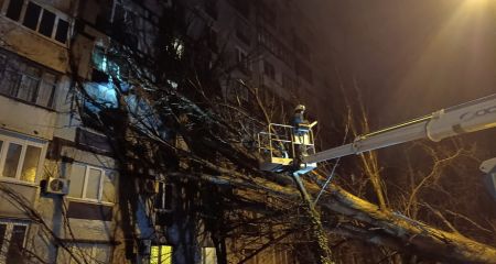 Непогода свалила в Запорожье десятки деревьев &ndash; кадры