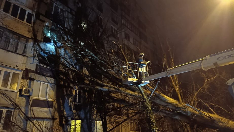 Непогода свалила в Запорожье десятки деревьев - кадры