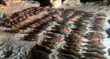 Наловили з криги: понад 400 кг риби вилучили у запорізьких браконьєрів