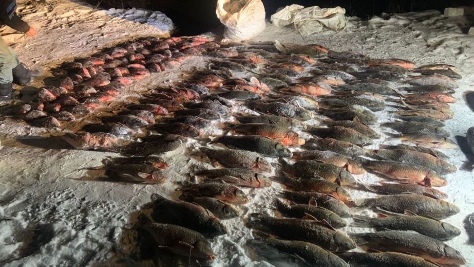 Наловили со льда: более 400 кг рыбы изъяли у запорожских браконьеров