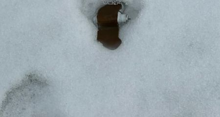 РФ на расстоянии минирует громады под Запорожьем "лепестками"