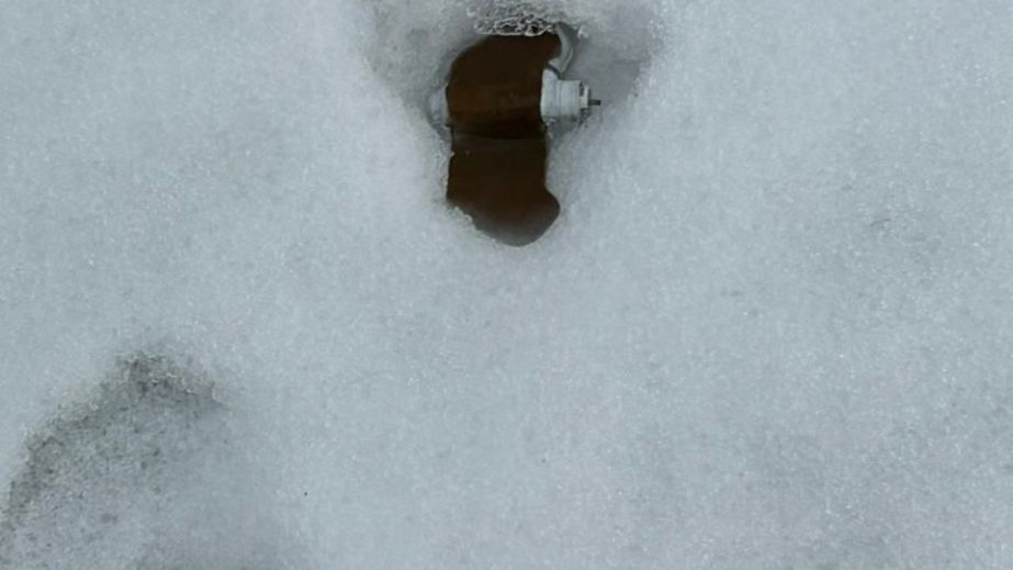 РФ на расстоянии минирует громады под Запорожьем "лепестками"