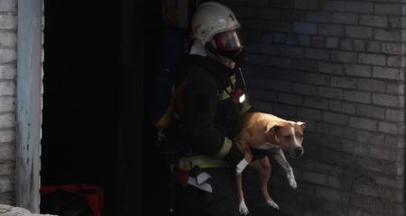 Жінок і тварин рятували з пожежі у Запоріжжі &ndash; кадри