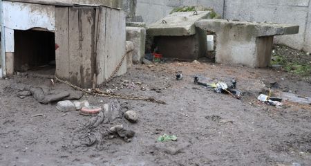 Російський дрон упав біля собачої будки в Запоріжжі &ndash; деталі