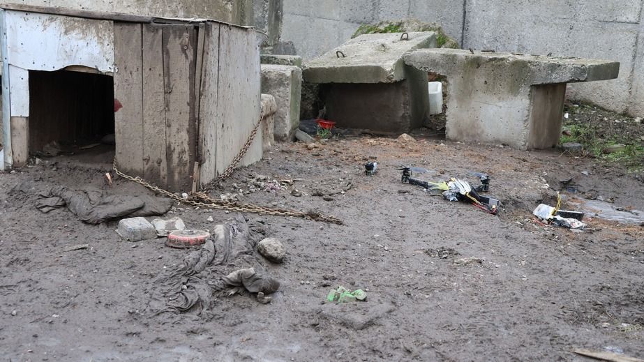 Російський дрон упав біля собачої будки в Запоріжжі &ndash; деталі