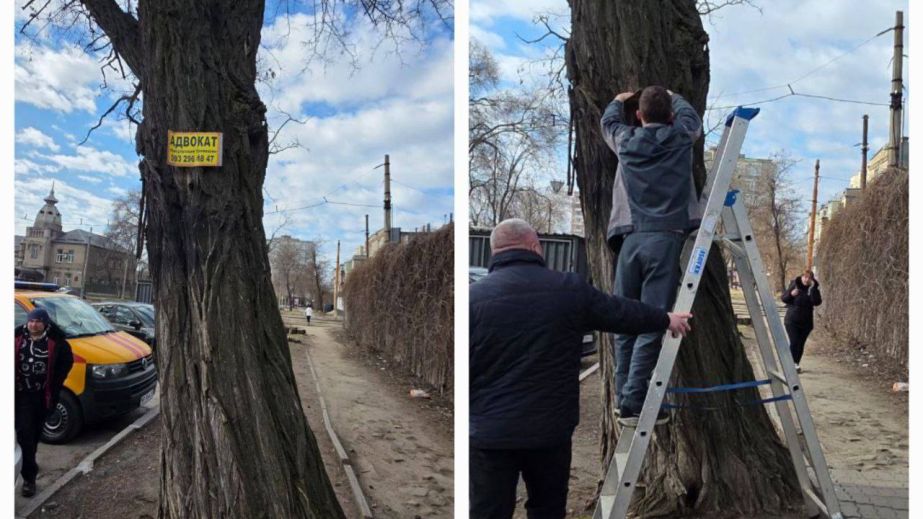 Середмістя Запоріжжя підчищали від сміття та реклами &ndash; кадри