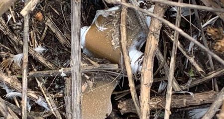 Небезпечну "пелюстку&rdquo; знайшли в селі Розумівка під Запоріжжям