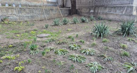 Місяць чистоти триває в Запоріжжі &ndash; графік та основні локації весняної толоки