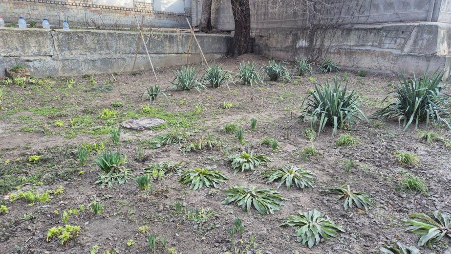 Месяц чистоты проходит в Запорожье &ndash; график и основные локации весенней толоки