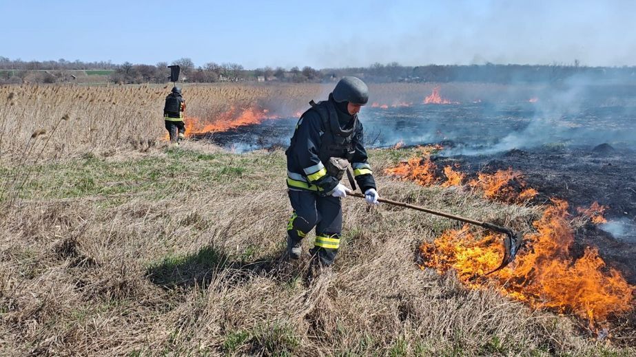 Десяток пожеж вирували в екосистемах на Запоріжжі
