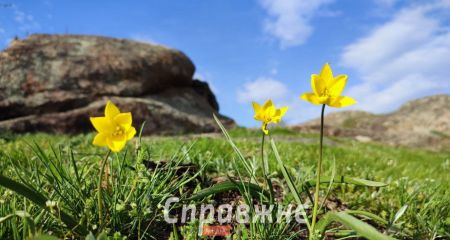 Температурный рекорд зафиксировали в Запорожье в последние дни марта