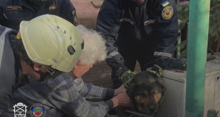 Запорізькі рятувальники допомогли собаці, який застряг в огорожі