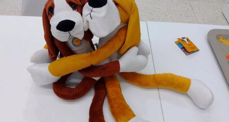 В Запорожье 40 специалистов овладевают Хибуки-терапией для работы с детьми