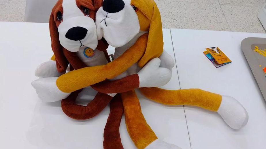 У Запоріжжі 40 фахівців опановують Хібукі-терапію для роботи з дітьми