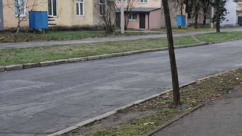 Стихийную свалку вдоль улицы убрали в Запорожье