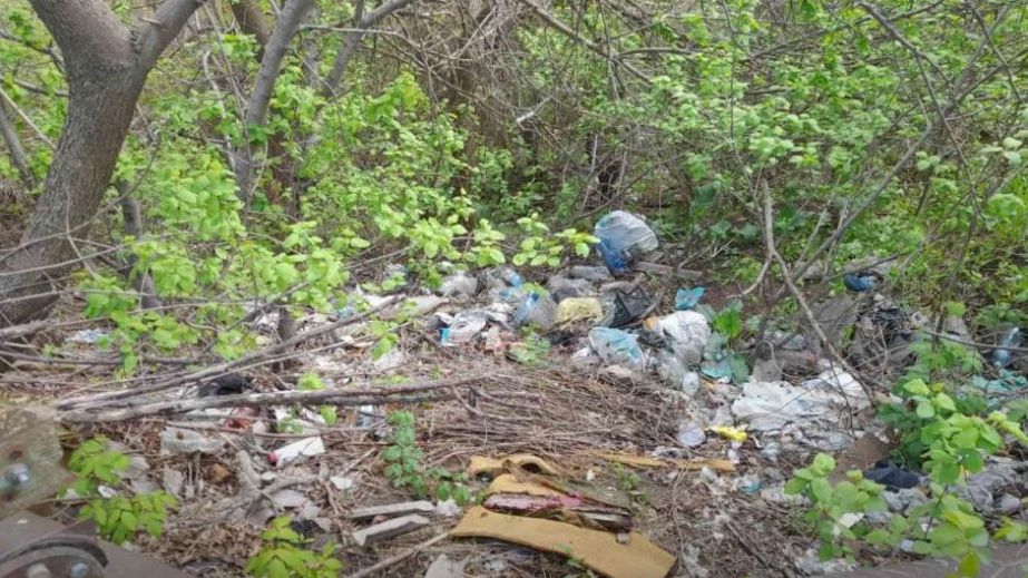 Запоріжці захарастили локацію біля урочища Вирва