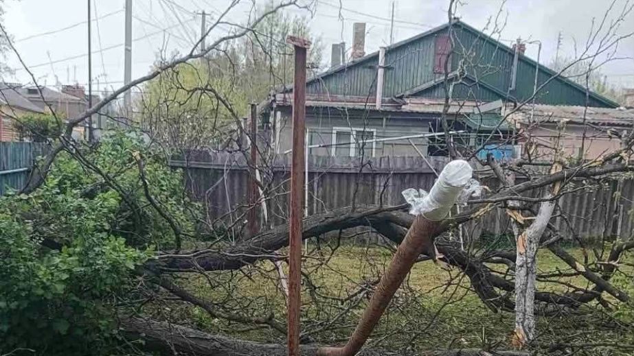 Шквальный ветер повредил газовые сети на Запорожье &ndash; последствия