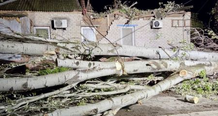 Буревій повалив тополю на житловий будинок у Запоріжжі