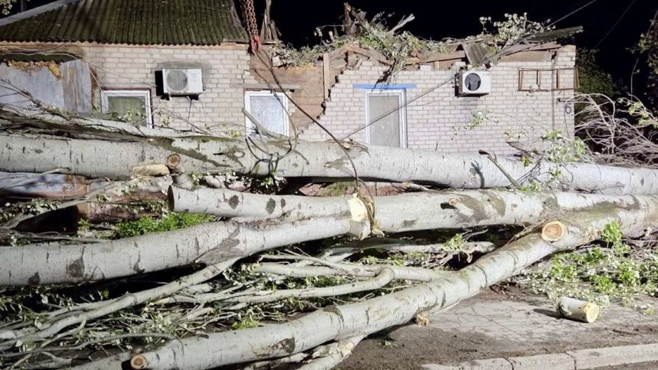 Буревій повалив тополю на житловий будинок у Запоріжжі