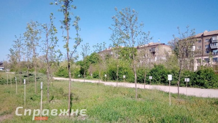 Для парку Тарасова в Запоріжжі обирають логотип: триває голосування