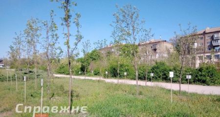 Місцеві "інвестори" "тримають в заручниках" землю Запоріжжя