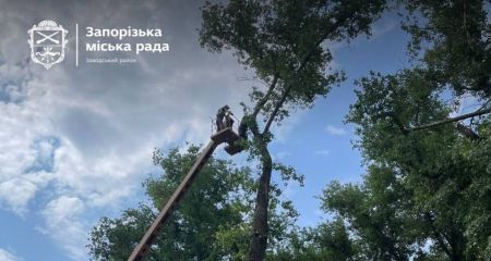 В Заводском районе Запорожья упорядочивают придомовые территории