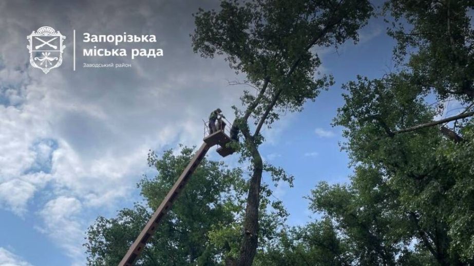 В Заводском районе Запорожья упорядочивают придомовые территории