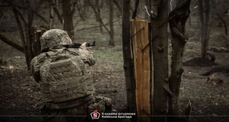 Семь атак россиян в течение дня отразили ВСУ на Запорожском направлении