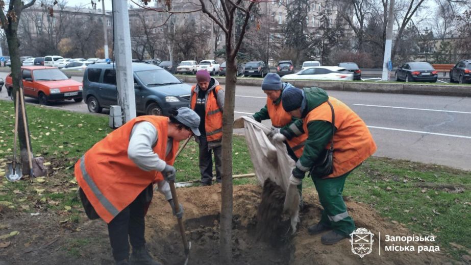 Вместо старых тополей: десятки молодых деревьев высадили в центре Запорожья