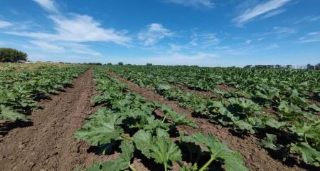 Понад 1700 гектарів угідь забезпечили водою для поливу на Запоріжжі