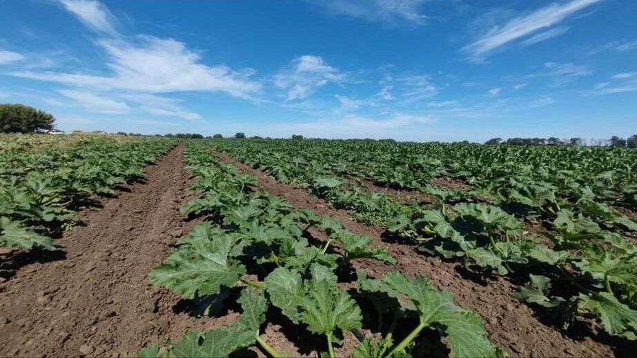 Понад 1700 гектарів угідь забезпечили водою для поливу на Запоріжжі