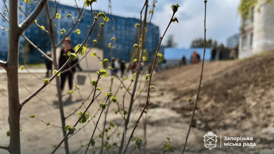 "Сади перемоги" висаджують школярі та освітяни в Запоріжжі &ndash; кадри