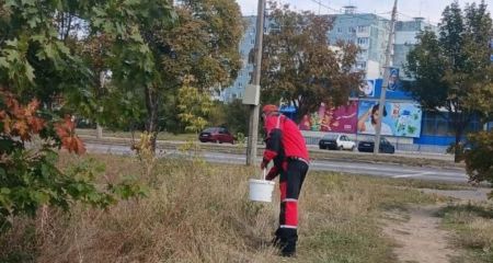 От крыс и мышей обрабатывают открытые территории в Запорожье