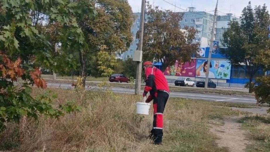Від щурів і мишей обробляють відкриті території у Запоріжжі