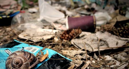 Екоінспекція ліквідувала сміттєзвалище біля гаражів на Південному шосе