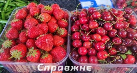 Запорожской почти нет: откуда на местных рынках черешня и клубника