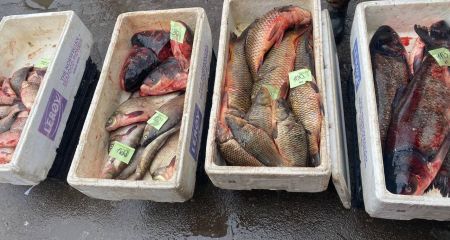 Рейды на рынках Запорожья провели экоинспекторы: что проверяли