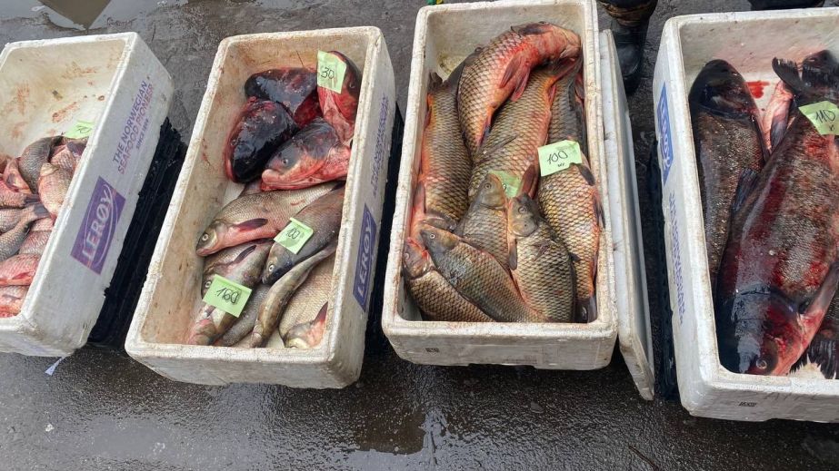 Рейды на рынках Запорожья провели экоинспекторы: что проверяли