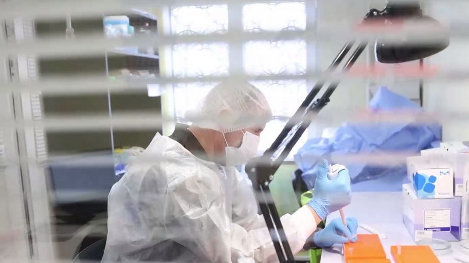 Судьбы 605 человек, пропавших без вести при особых обстоятельствах, установили на Запорожье