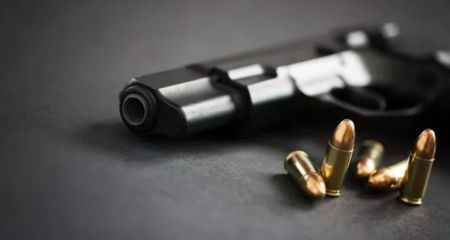 Запоріжці задекларували понад 500 одиниць зброї – дані Нацполіції