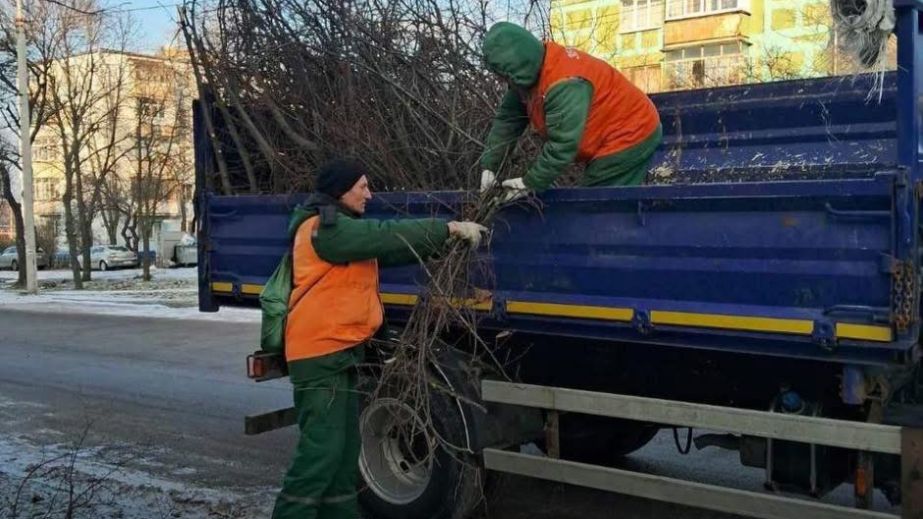 Последствия непогоды ликвидировали коммунальщики в одном из районов Запорожья