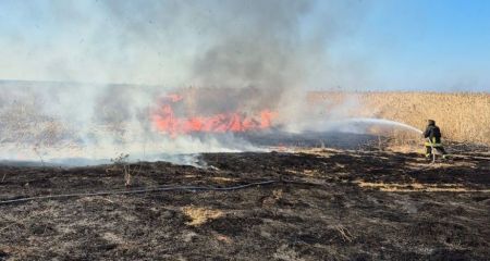 Понад 11 гектарів екосистем вигоріли на Запоріжжі