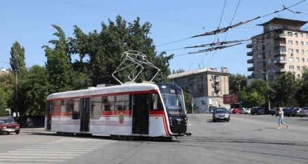 Через обрізку дерев у Запоріжжі обмежать рух транспорту &ndash; де саме