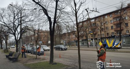 Від Героїв Крут до Донцова: в центрі Запоріжжя масово обрізають дерева
