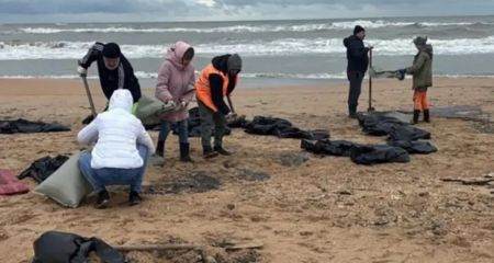 Медузи, забруднення та водорості: що відбувається з Азовським морем на Запоріжжі