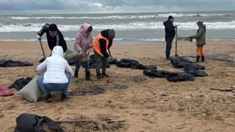 Медузи, забруднення та водорості: що відбувається з Азовським морем на Запоріжжі