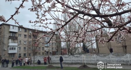Именные деревья в честь героев "Азова" высадили в центре Запорожья &ndash; кадры