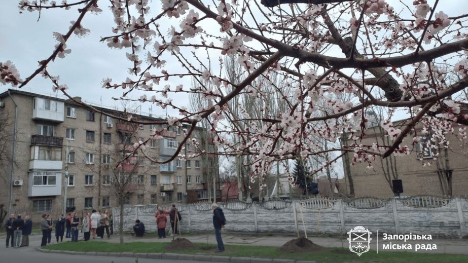 Іменні дерева на честь героїв "Азову" висадили в середмісті Запоріжжя &ndash; кадри