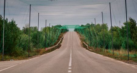 Захист доріг: 200 км антидронових тунелів уже звели на Запоріжжі