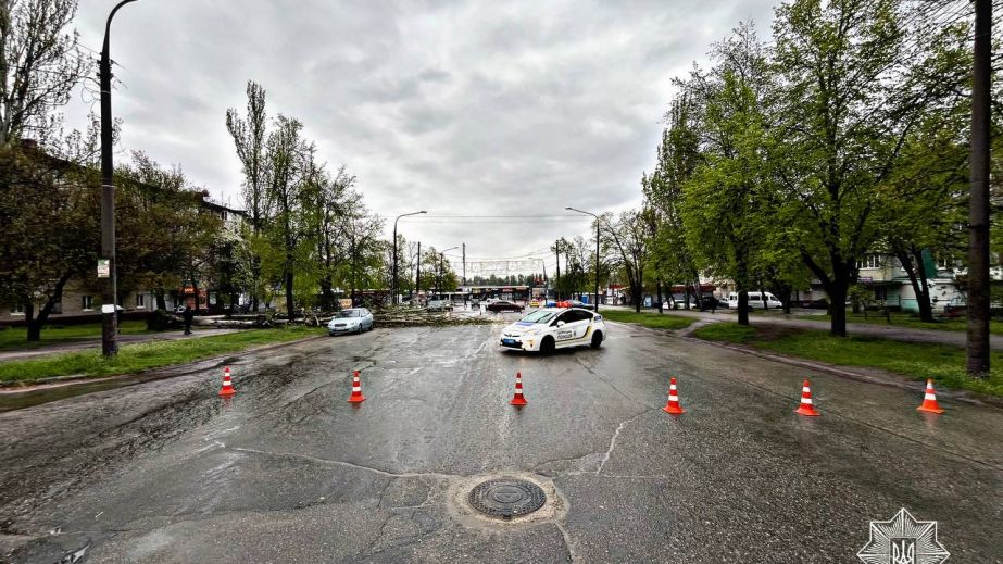 Деревопад у Запоріжжі: в Космічному районі тимчасово обмежено проїзд